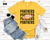 Panther Football